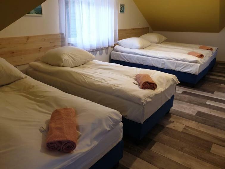 B&B Villa Varmia 弗龙堡 外观 照片