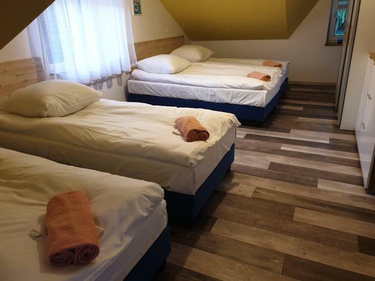 B&B Villa Varmia 弗龙堡 外观 照片